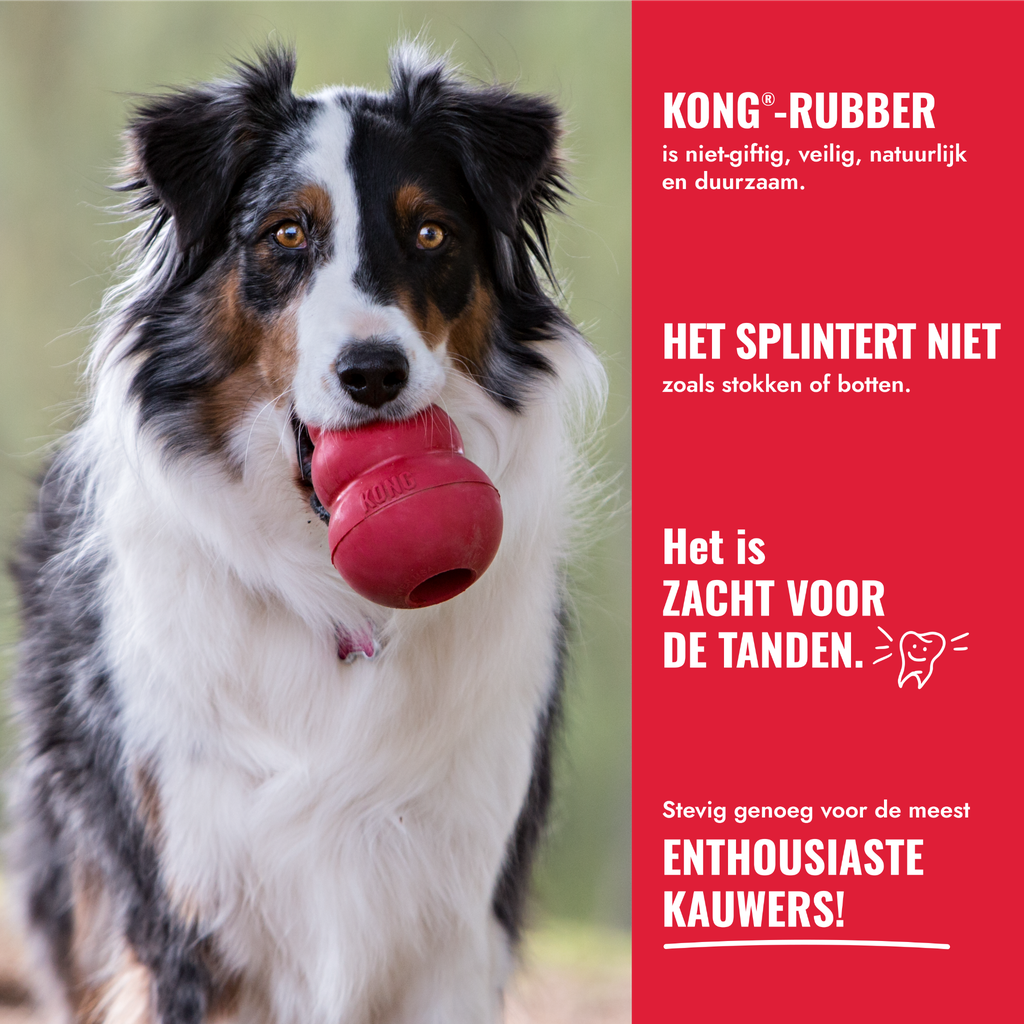 KONG Donut
