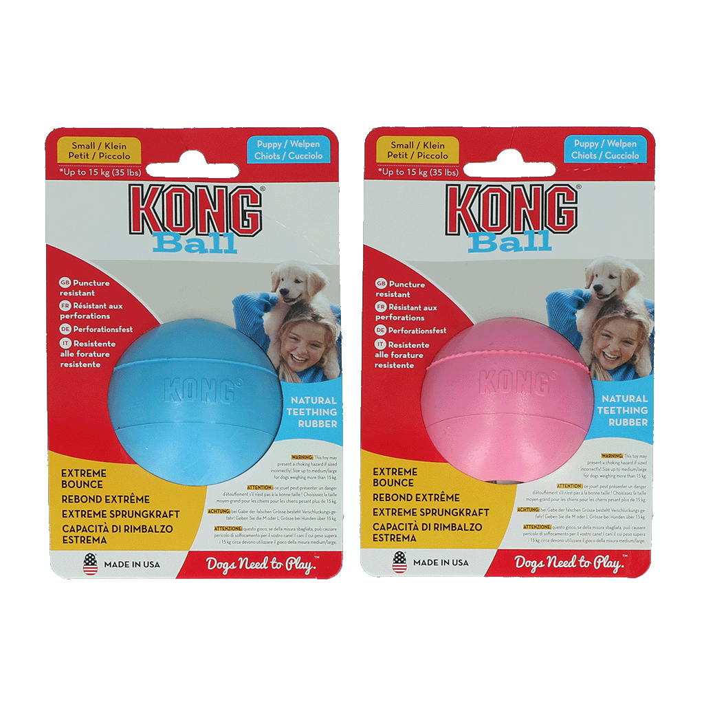 KONG Puppy Ball Assorti