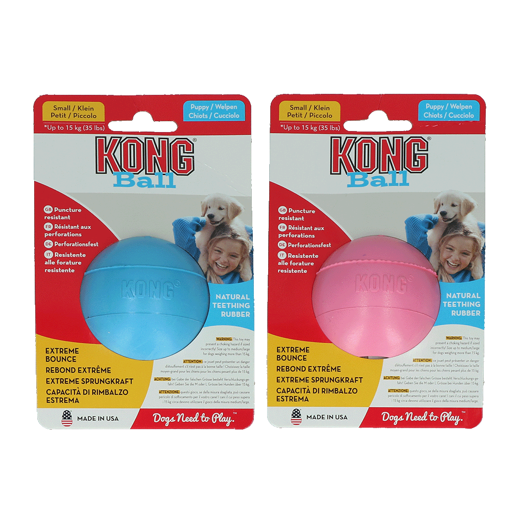 KONG Puppy Ball Assorti