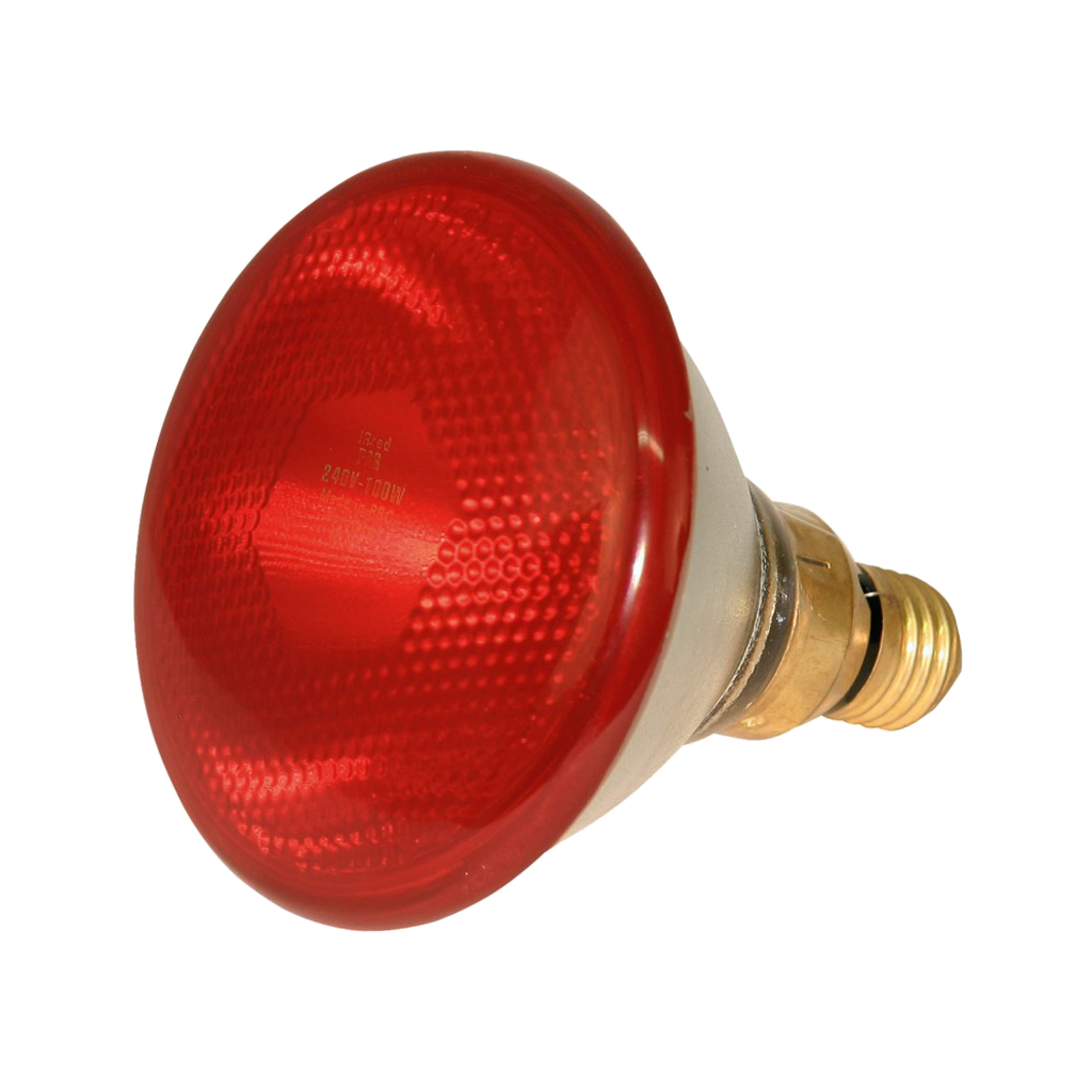 Spaarlamp