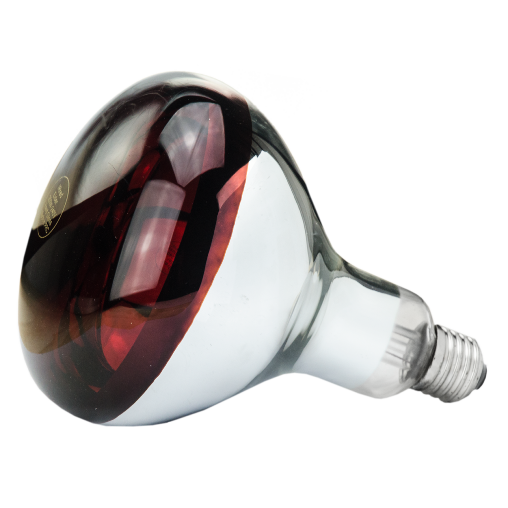 Hard Glas Lamp