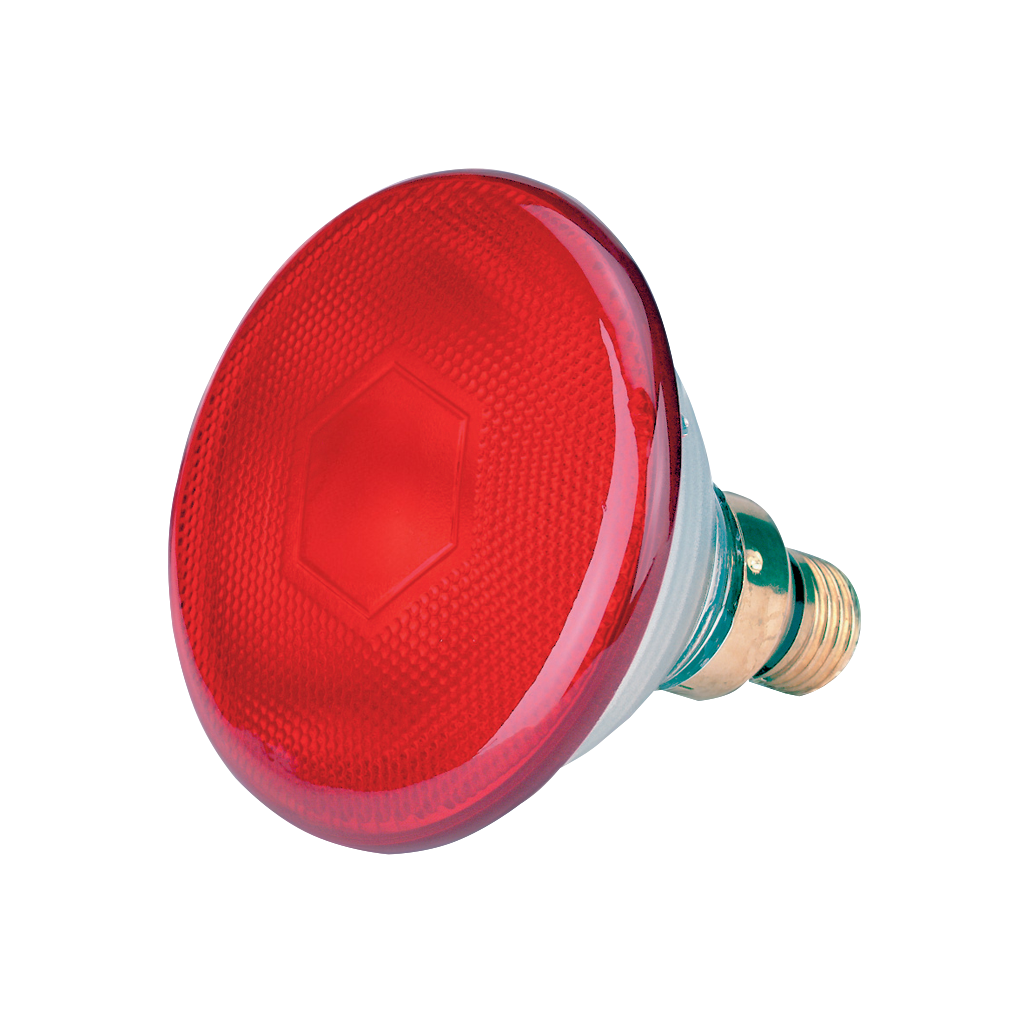 Spaarlamp