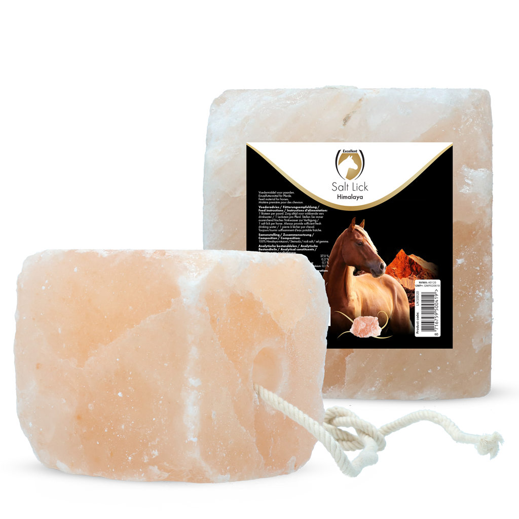 Excellent Horse Salt Lick Himalaya