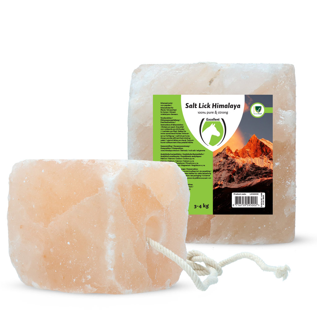 Excellent Horse Salt Lick Himalaya