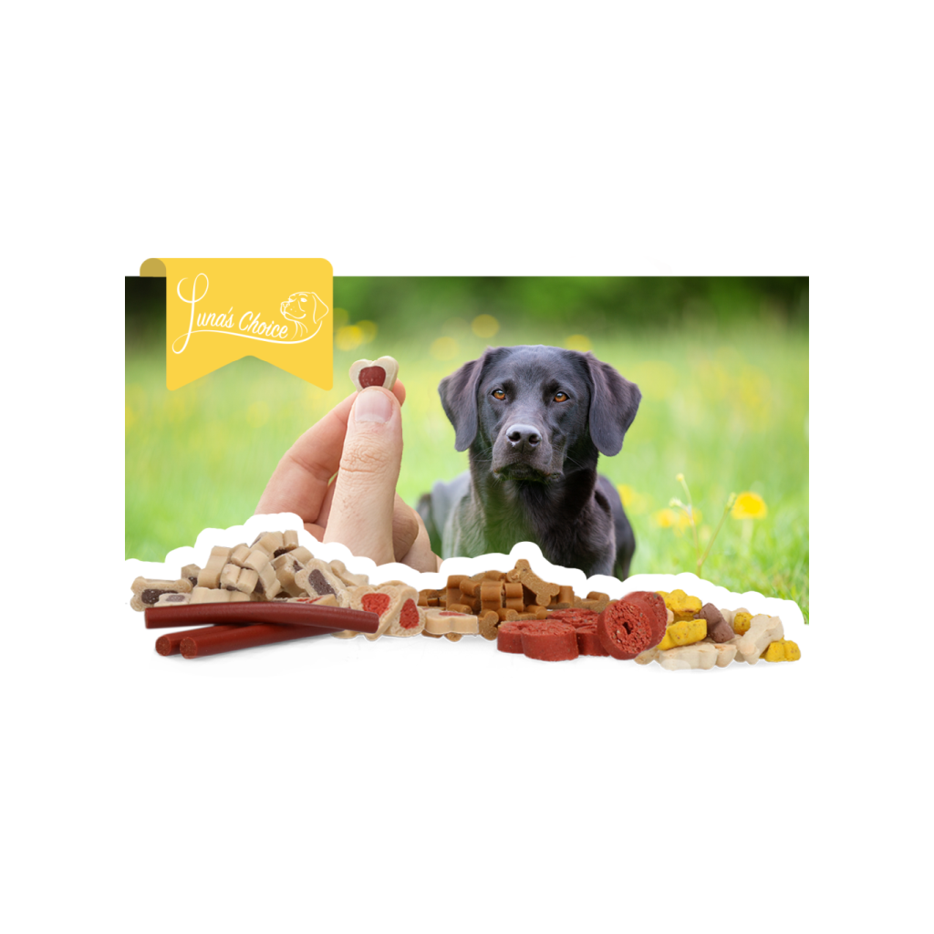 Luna's Choice Trainer Mix