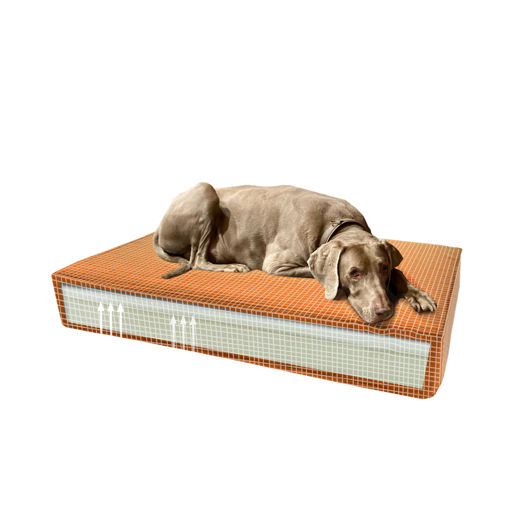 Madison Orthopedisch Kussen Velvet