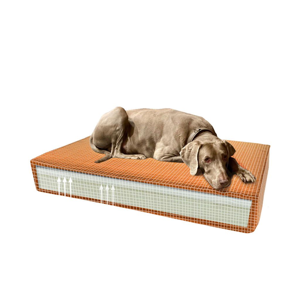 Madison Orthopedisch Kussen Velvet