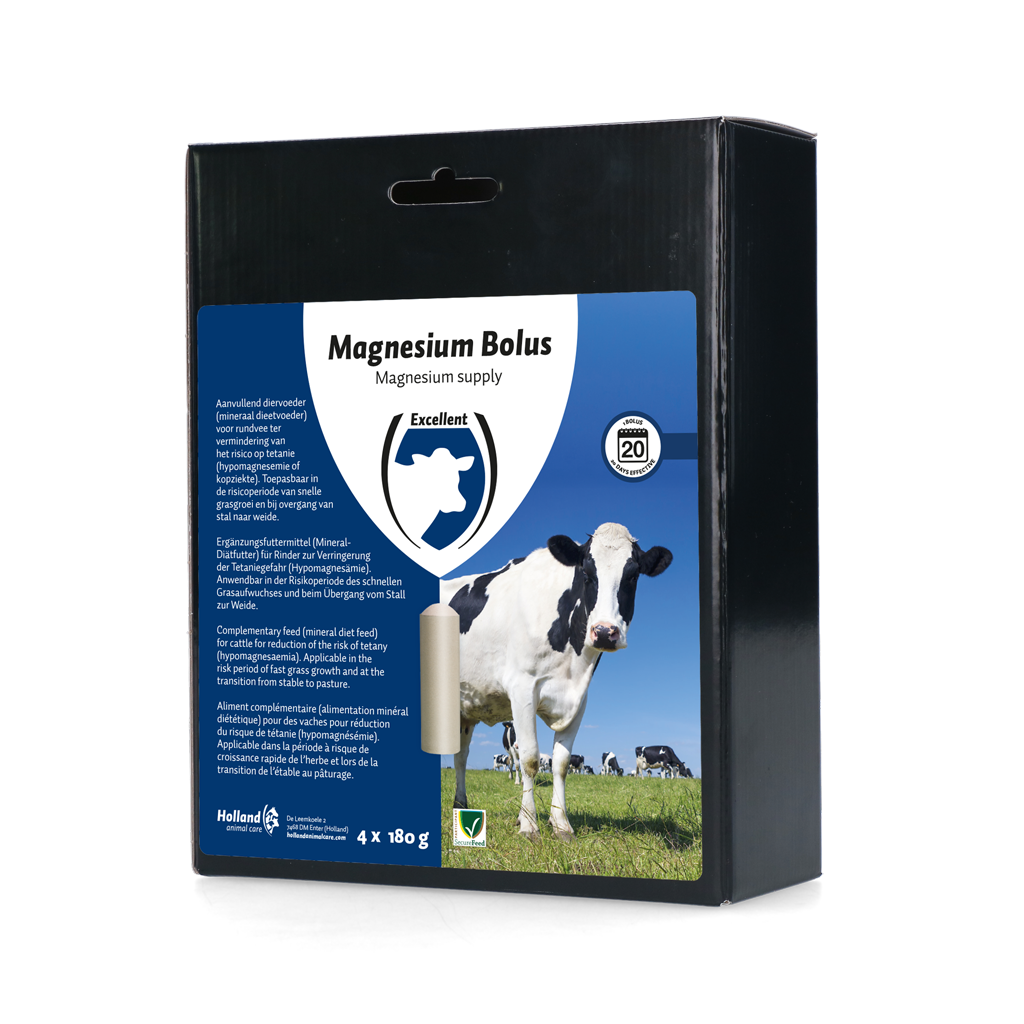 Excellent Magnesium Bolus