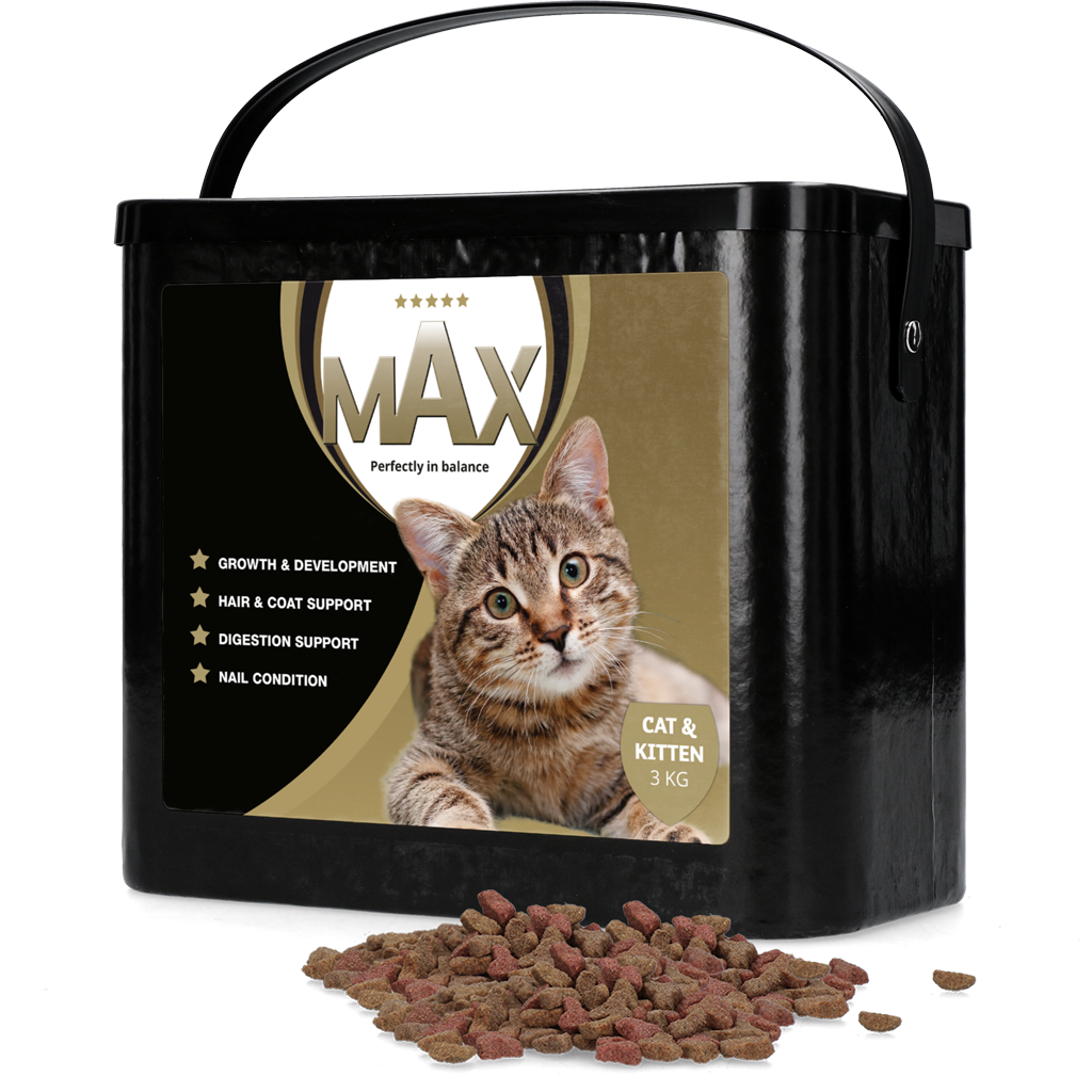 Max Kat en Kitten