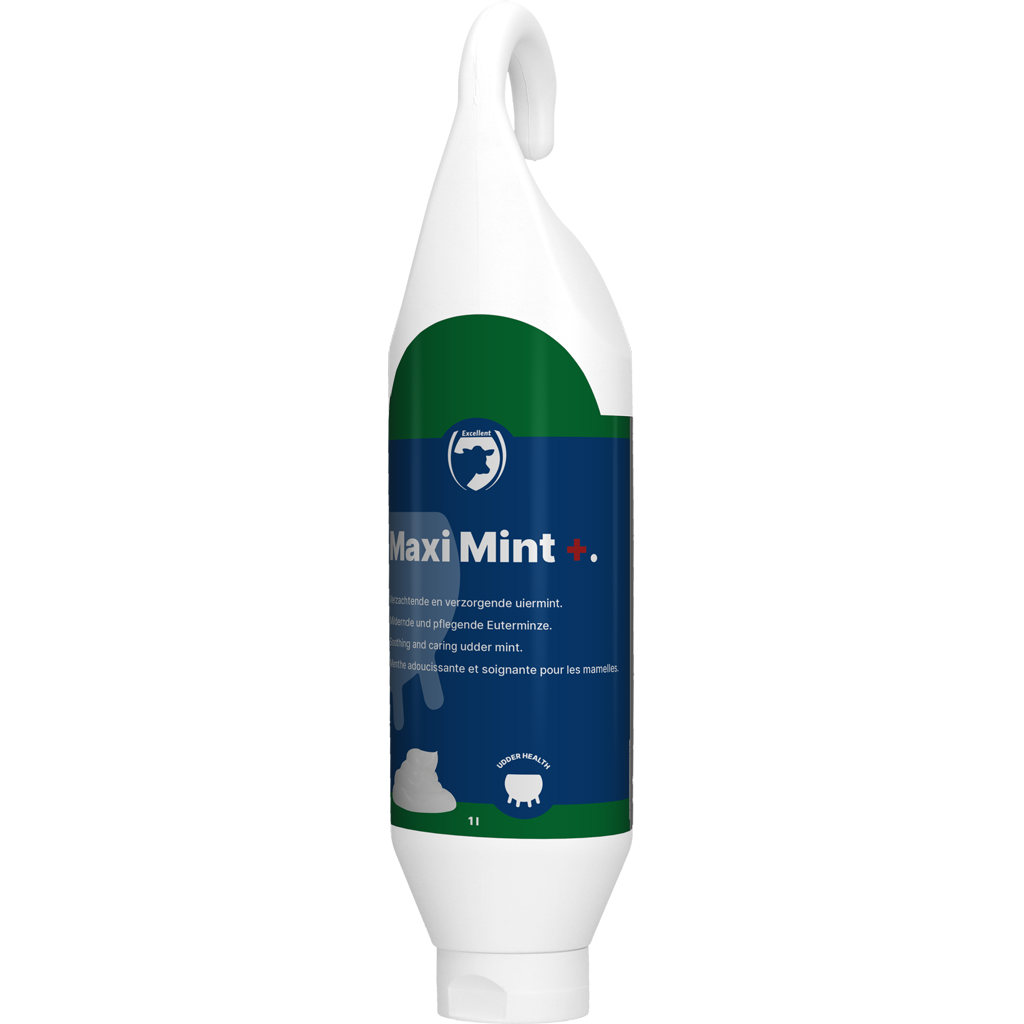 Excellent Maxi Mint+