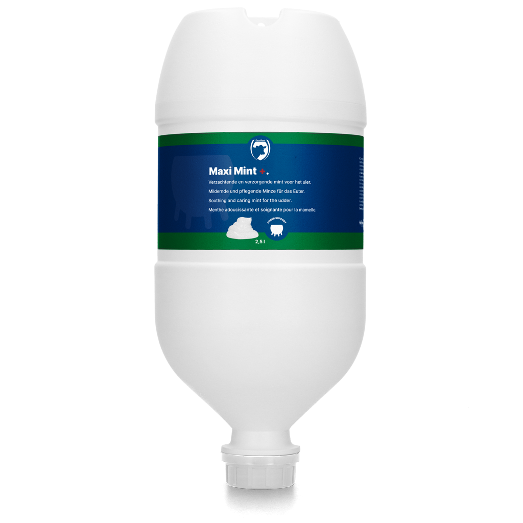 Excellent Maxi Mint+