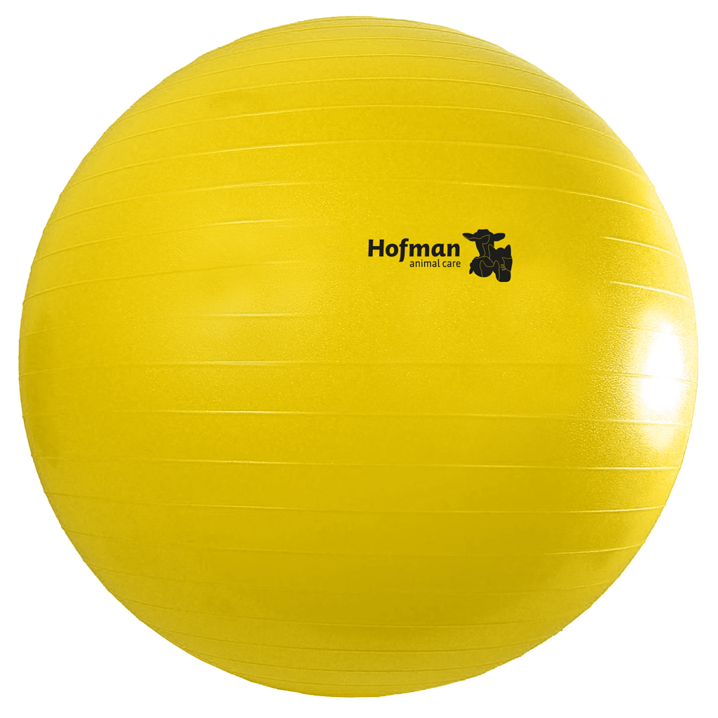 Maximus Power Play Ball