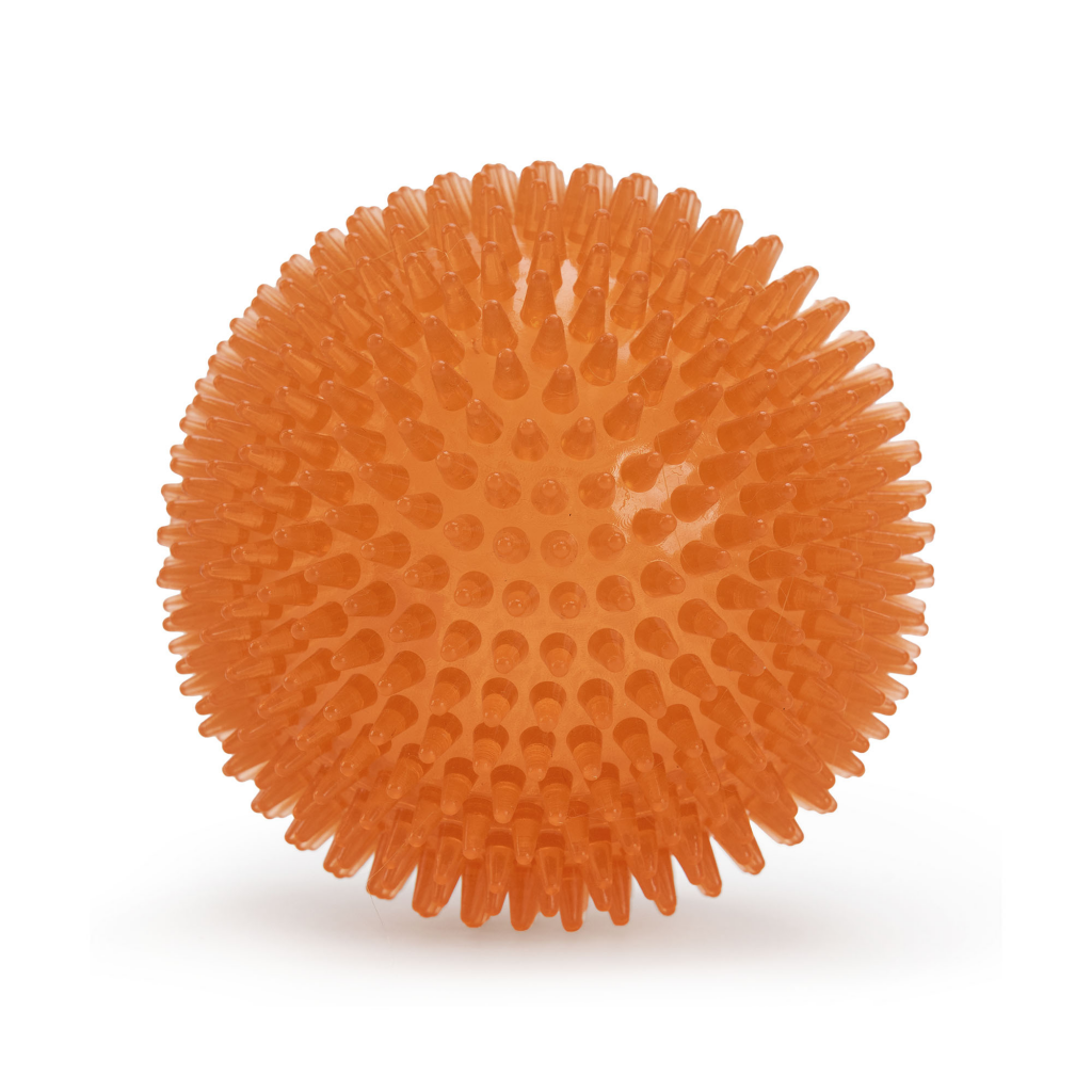 Oranje Egelbal