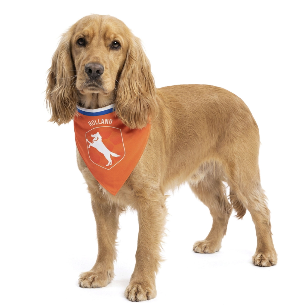 Oranje Bandana Holland