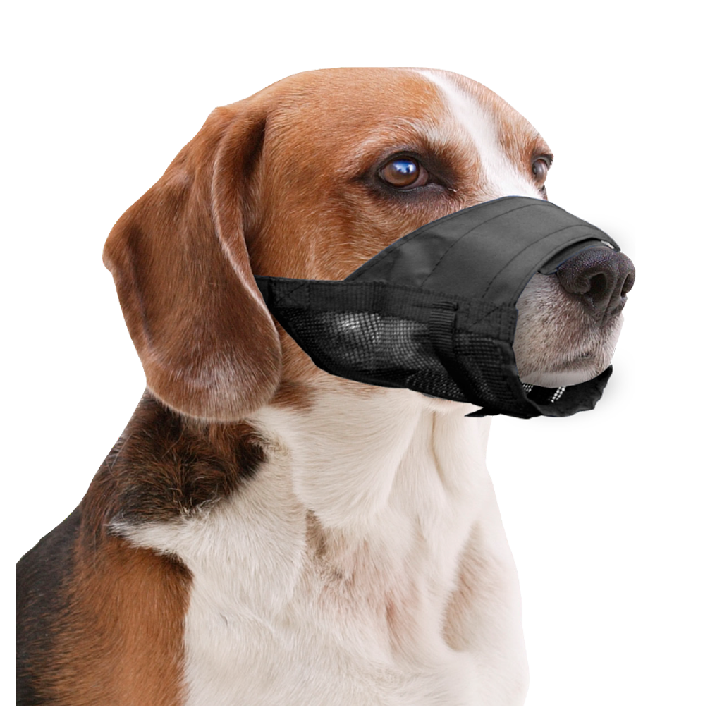 Pawise Adjustable Nylon Muzzle