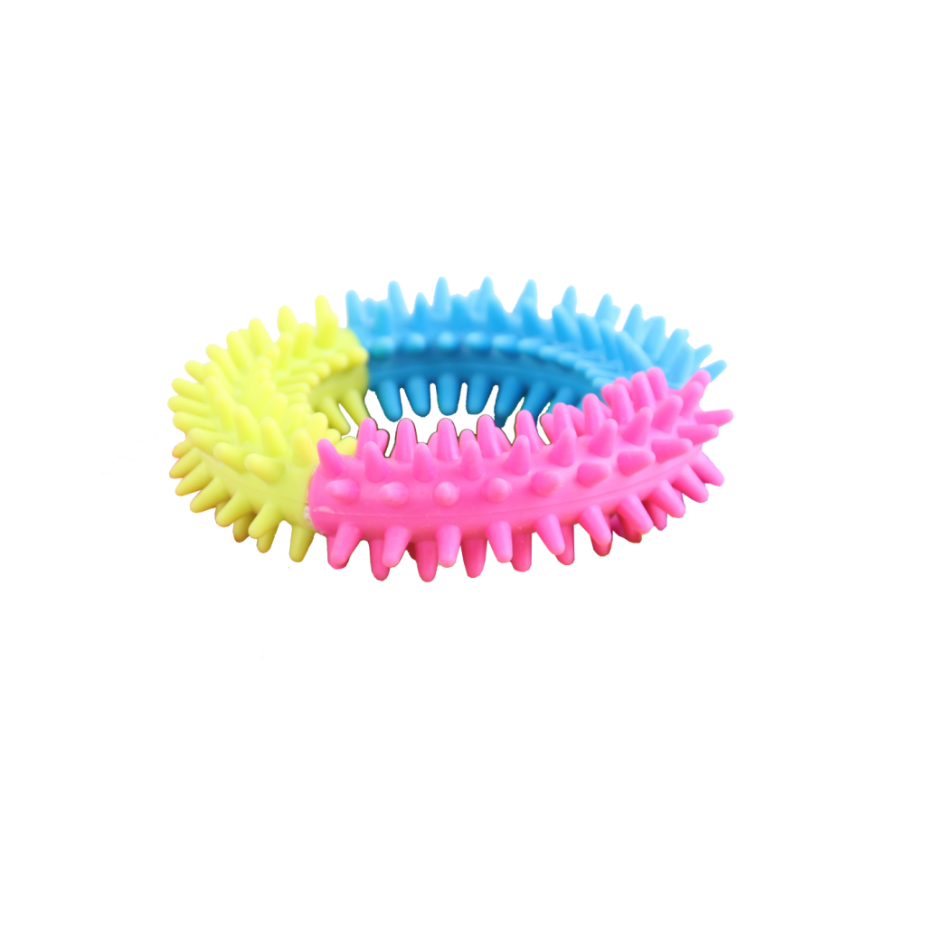 Pawise Rainbow World Ring
