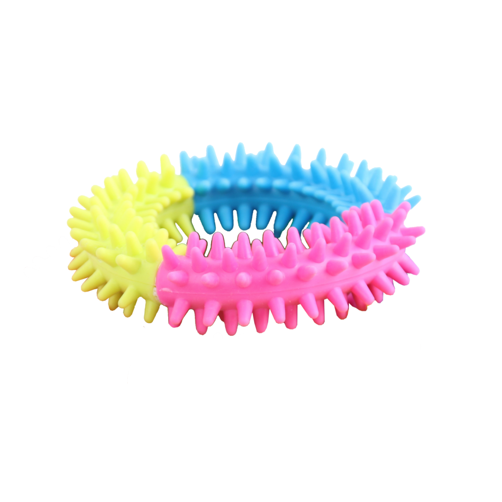 Pawise Rainbow World Ring