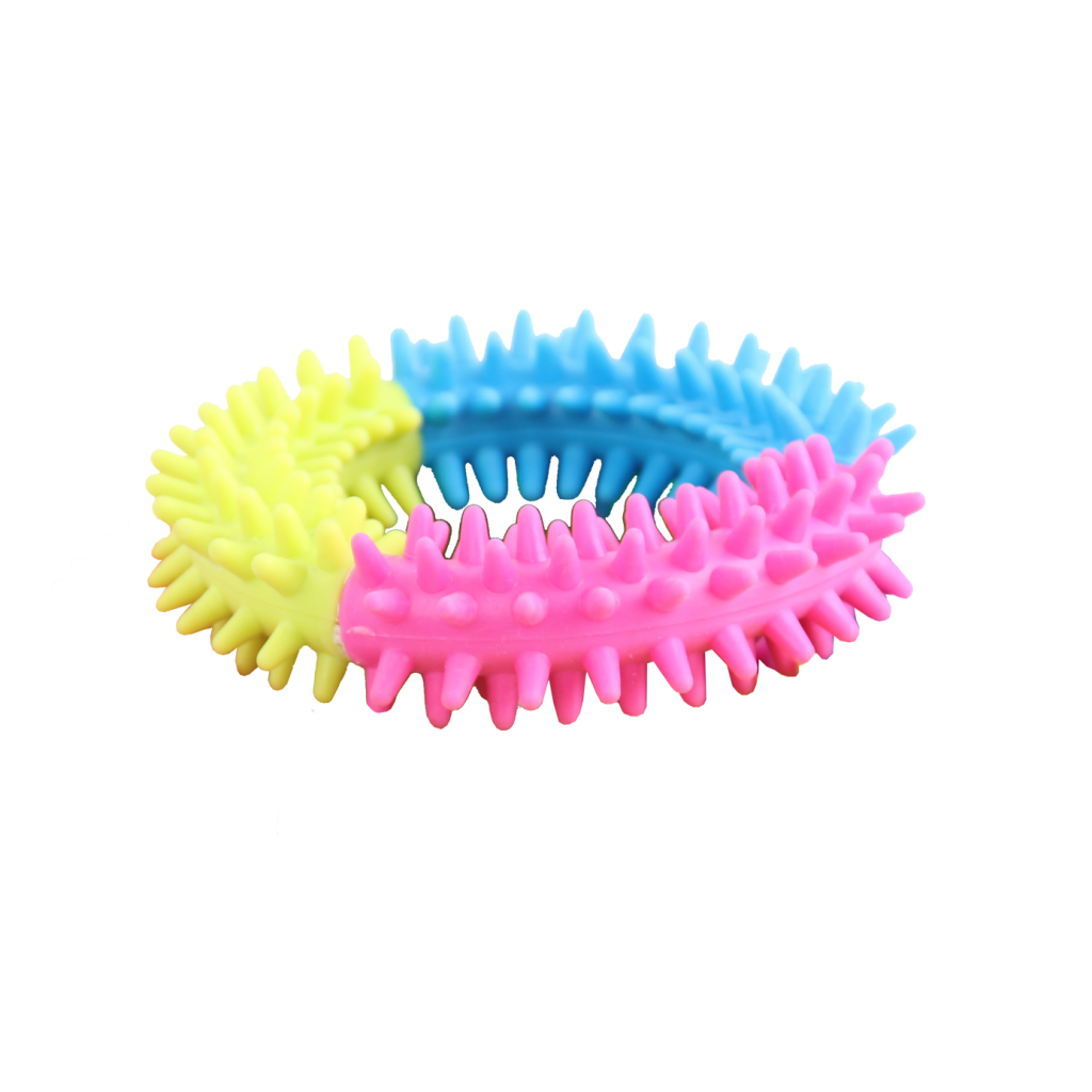 Pawise Rainbow World Ring