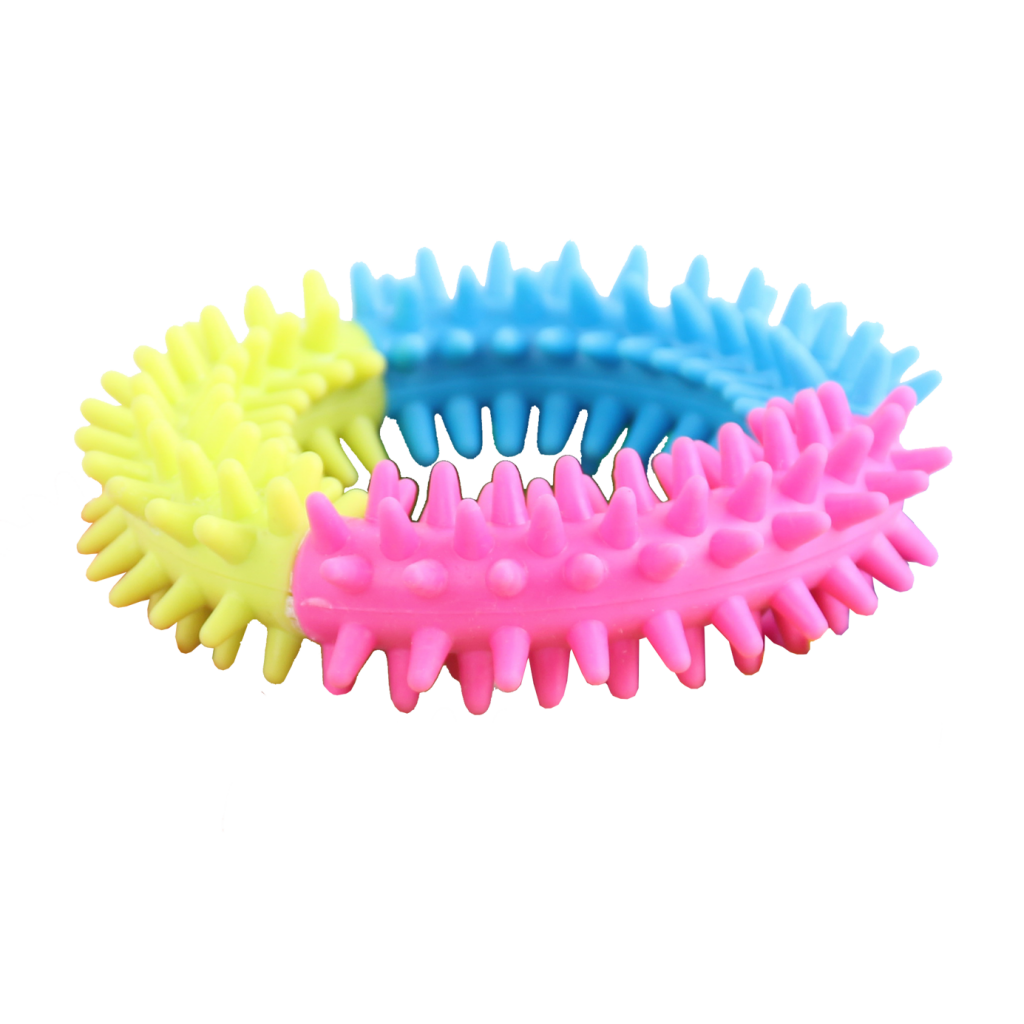 Pawise Rainbow World Ring