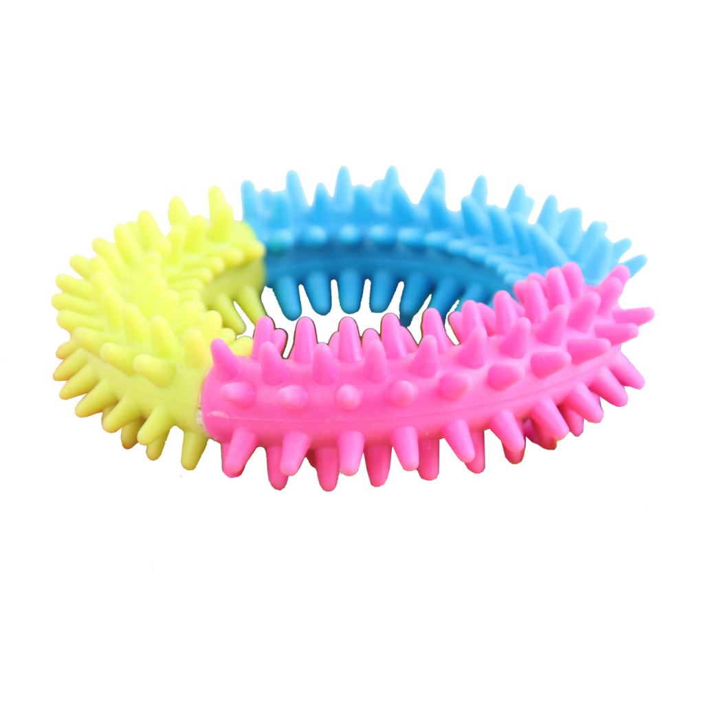 Pawise Rainbow World Ring