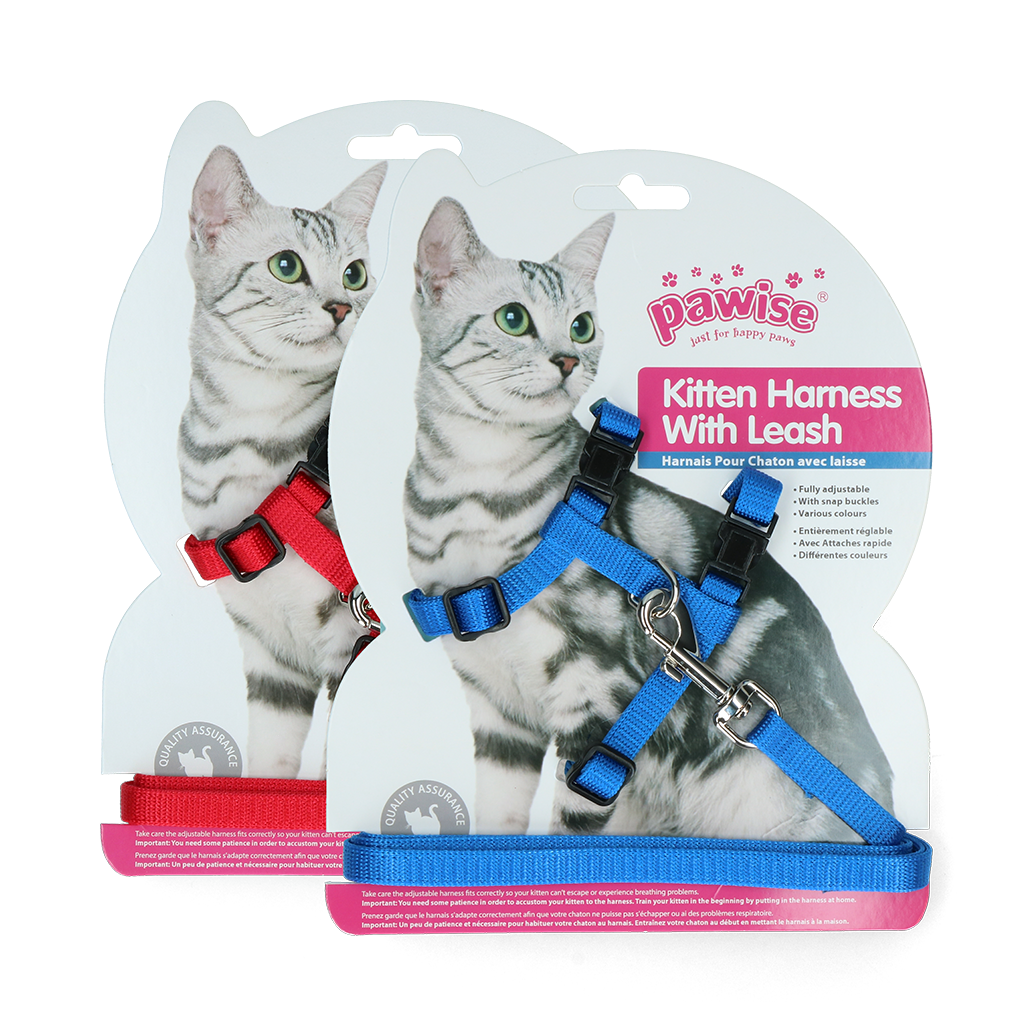 Pawise Kitten Harness With Leash Red/Blue