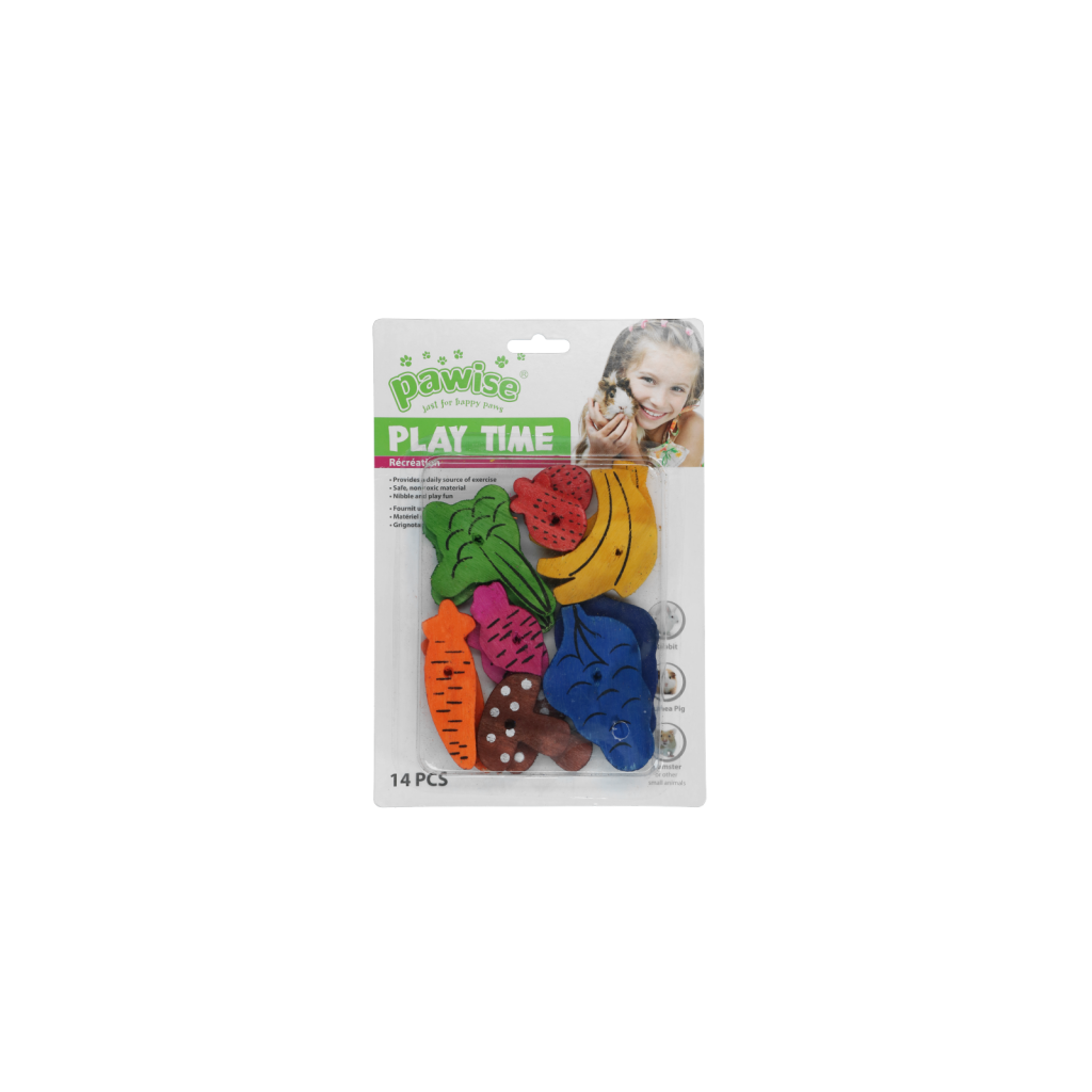 Pawise Play Time Small Pet