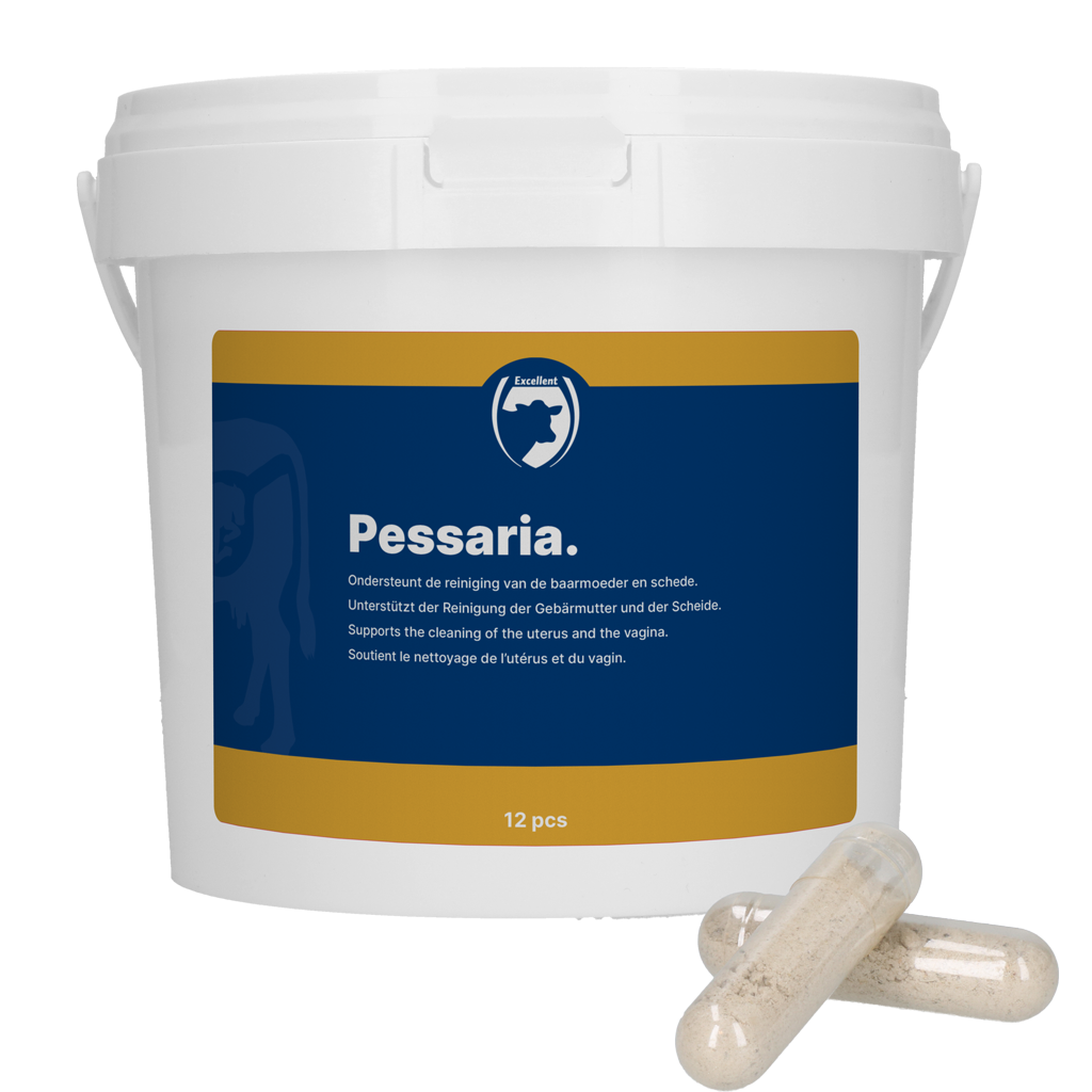 Excellent Pessaria Capsule