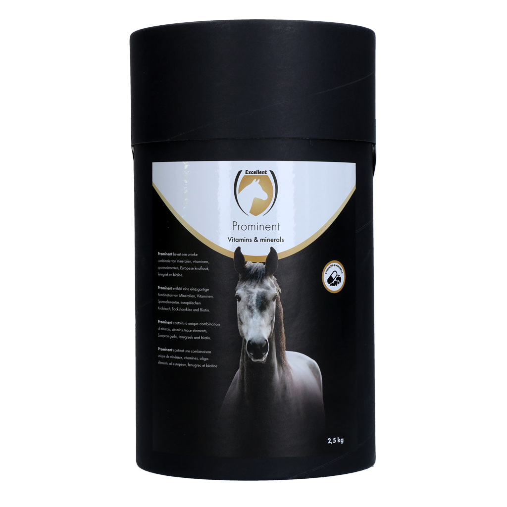 Excellent Horse Prominent