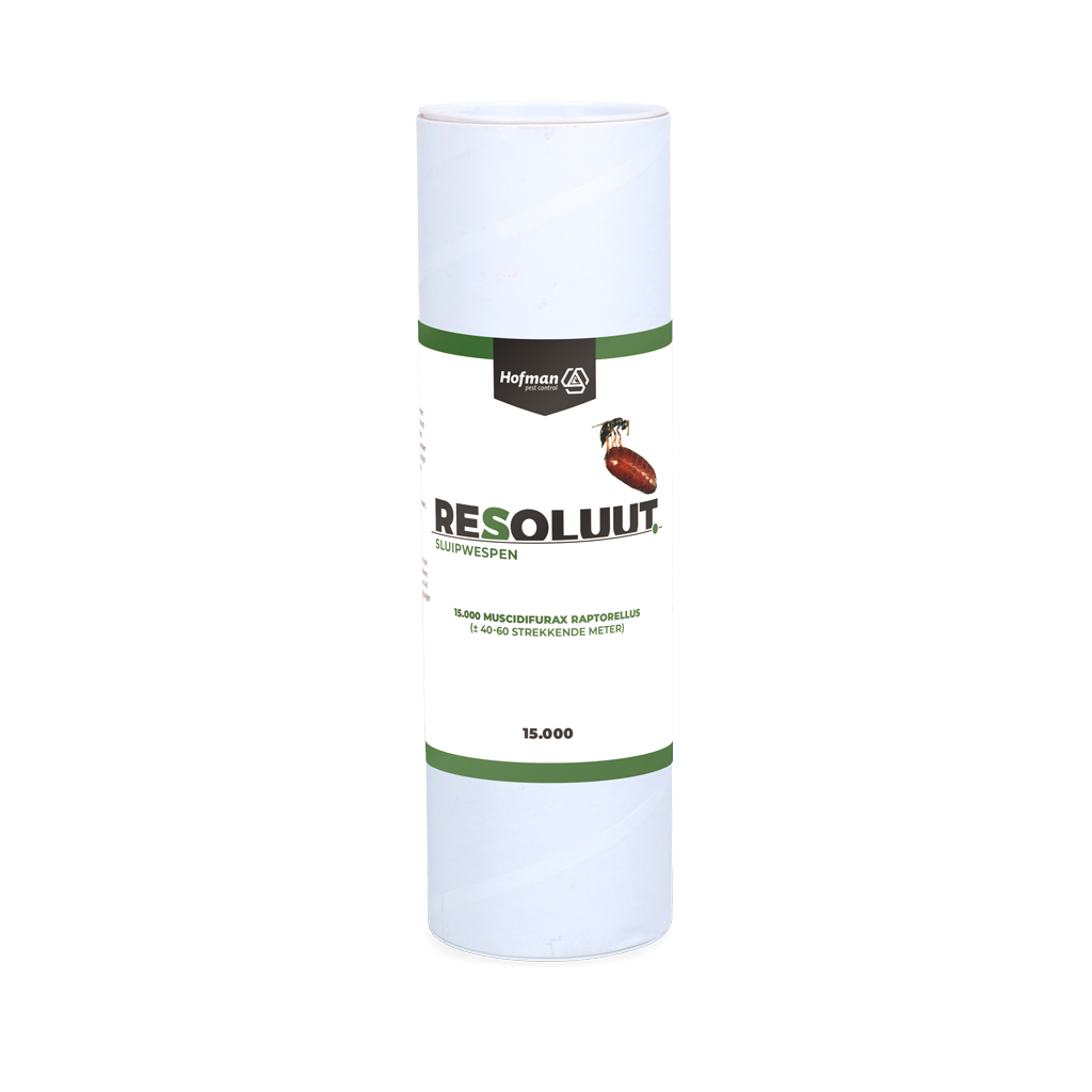 Resoluut Sluipwespen