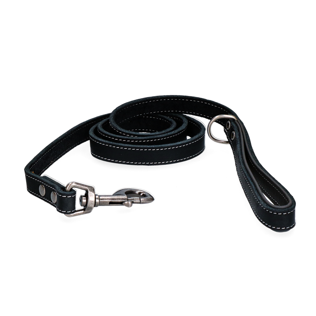 Spotted! Pro Leren Hondenlijn