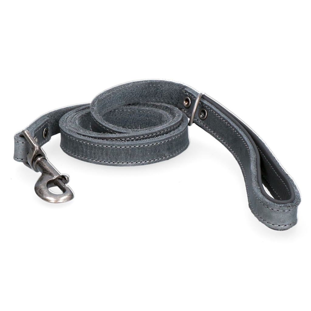 Spotted! Pro Leren Hondenlijn