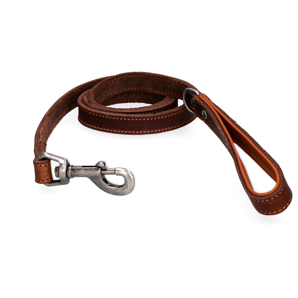 Spotted! Pro Leren Hondenlijn