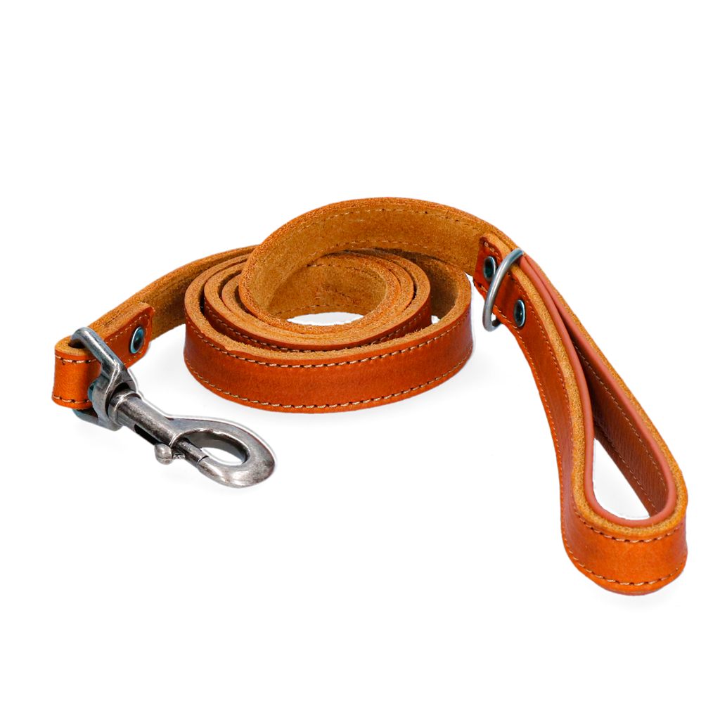 Spotted! Pro Leren Hondenlijn