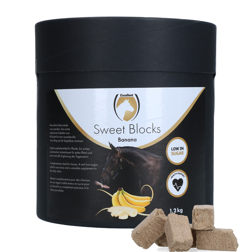 Excellent Horse Sweet Blocks