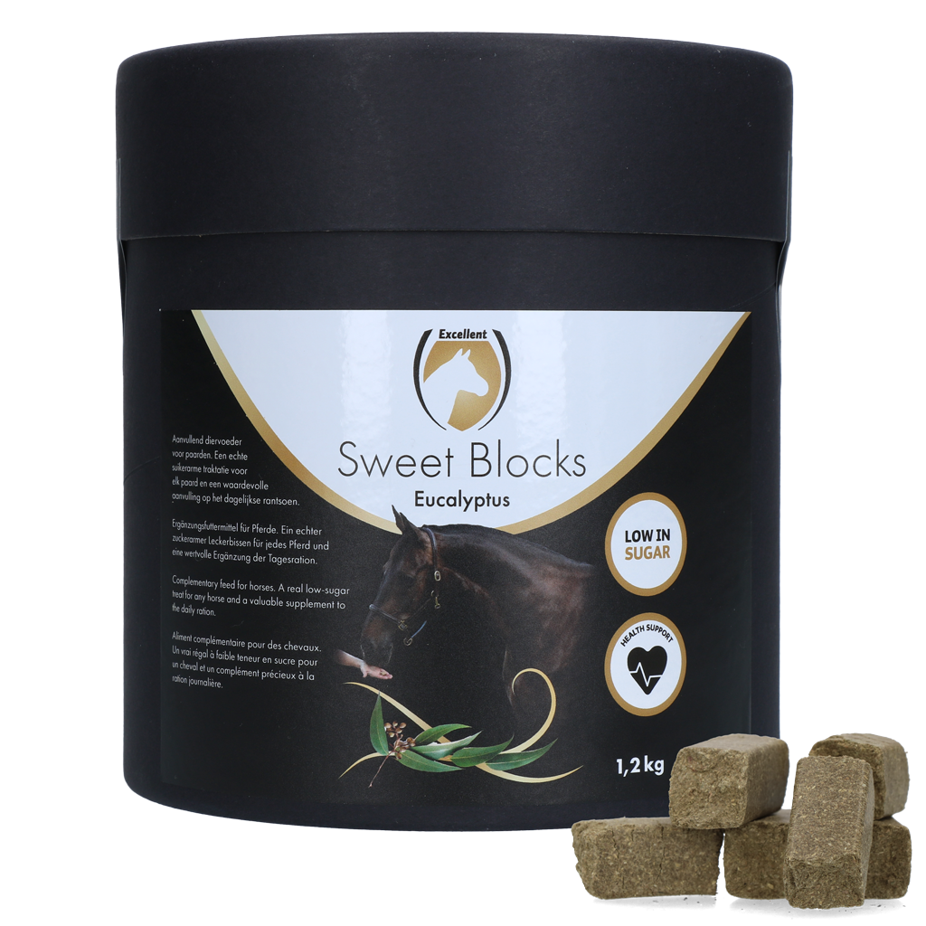 Excellent Horse Sweet Blocks