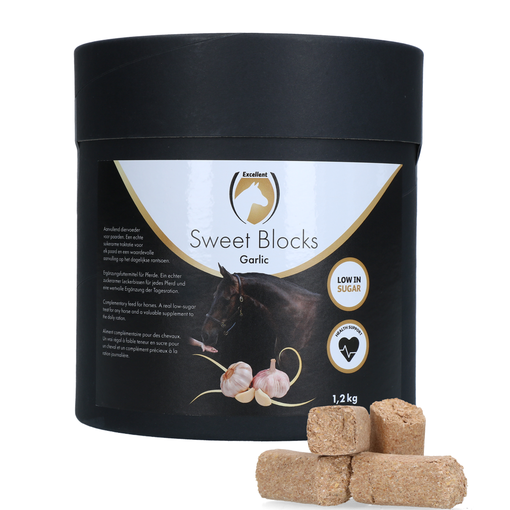 Excellent Horse Sweet Blocks