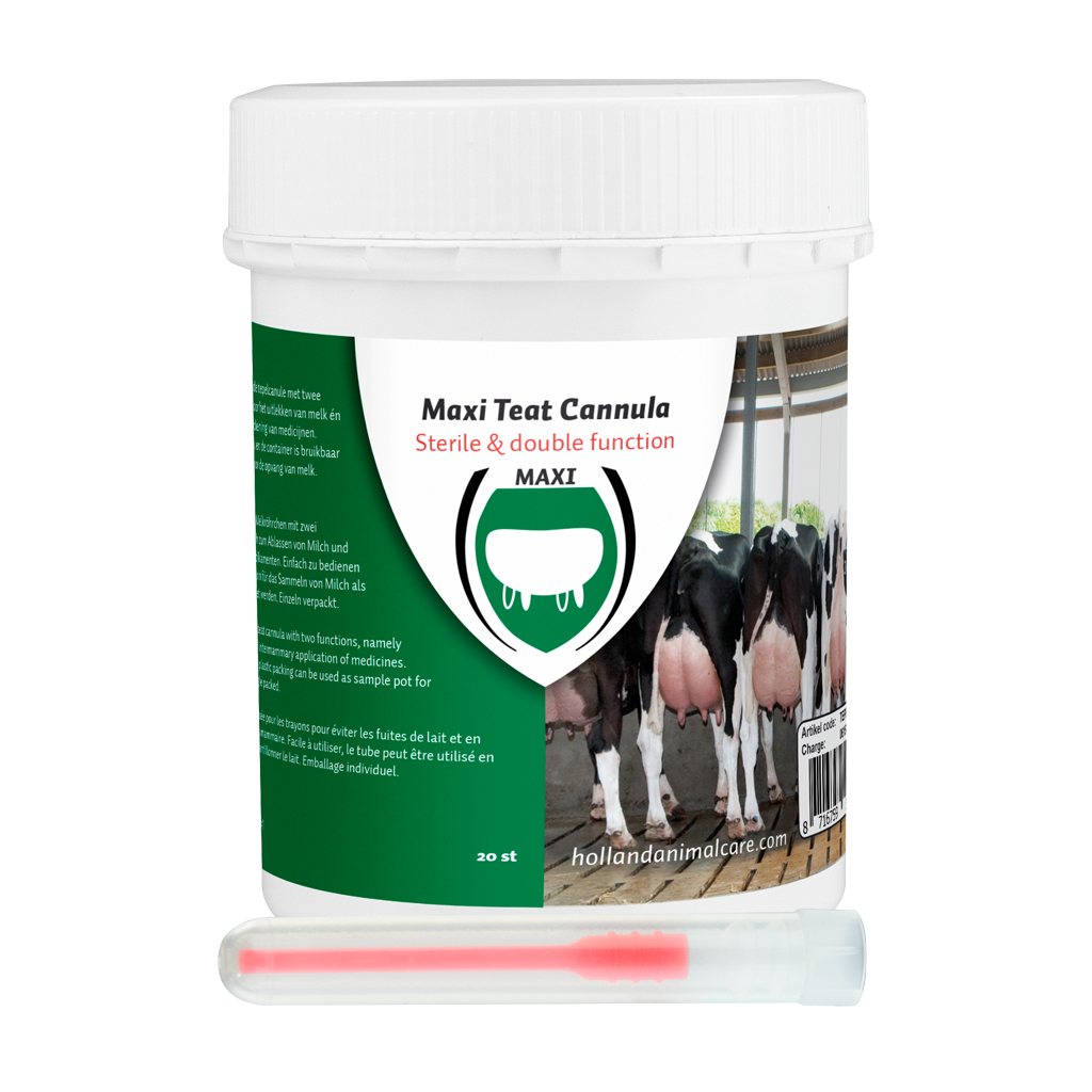 Excellent Maxi Tepelcanule 55 mm