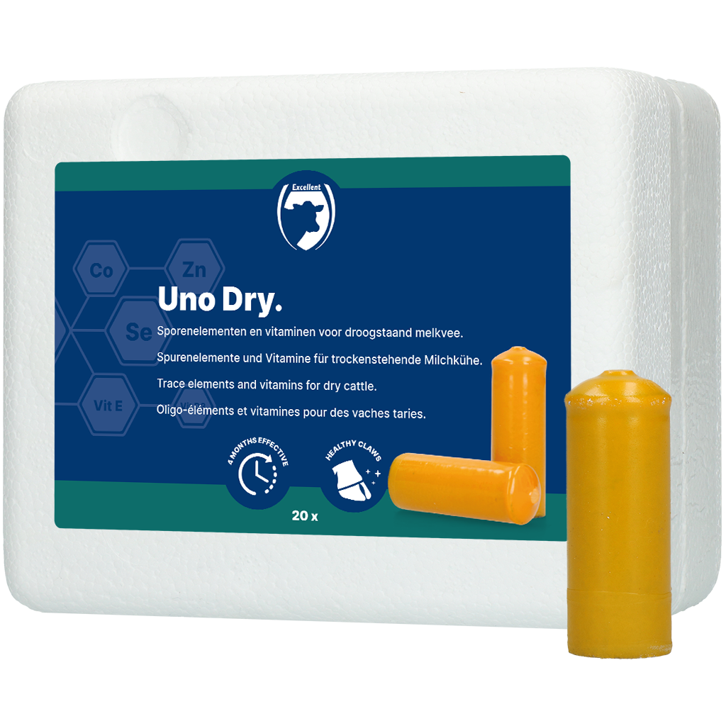 Excellent Uno Dry