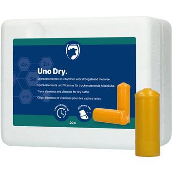 Excellent Uno Dry Biotin