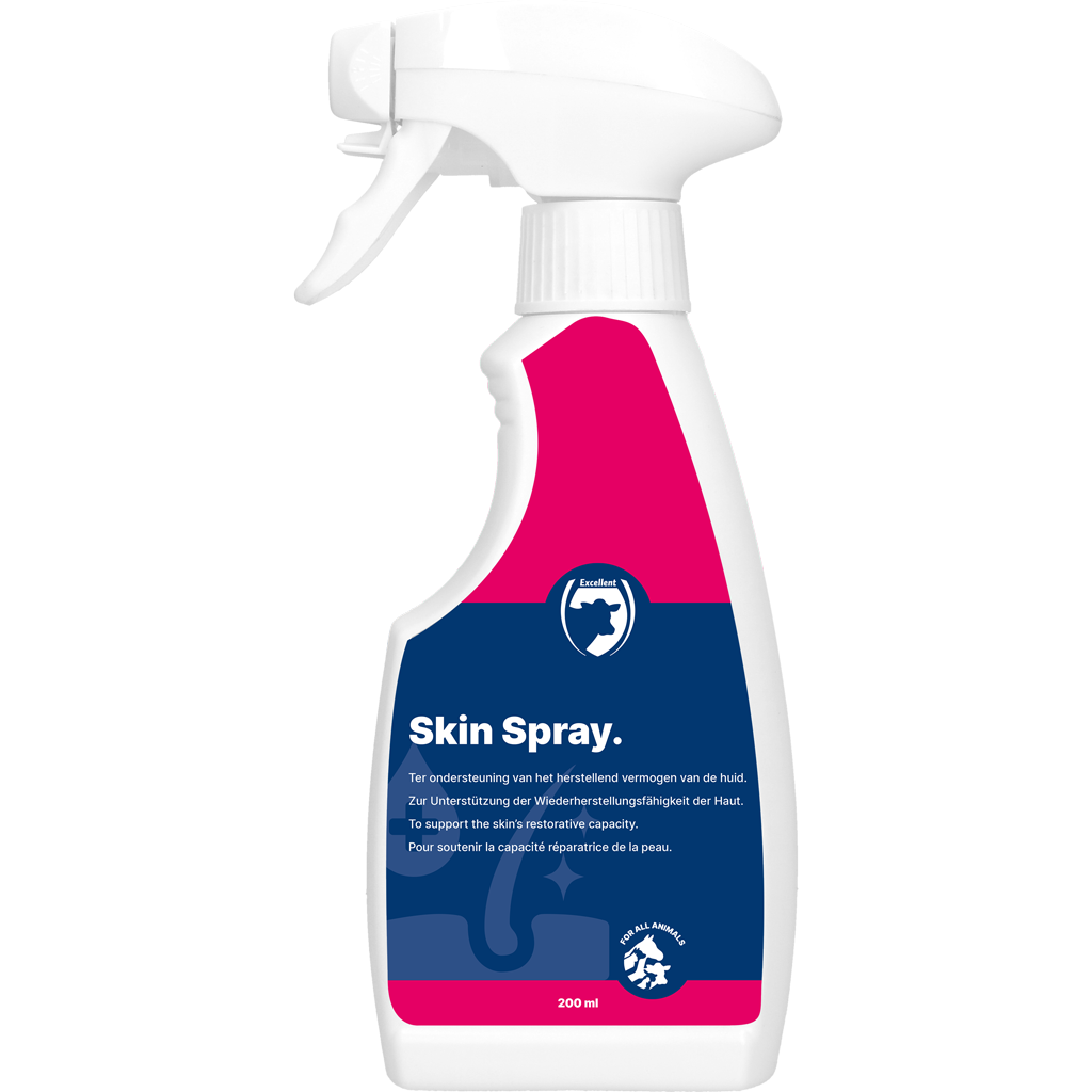 Excellent Skin Spray Blank