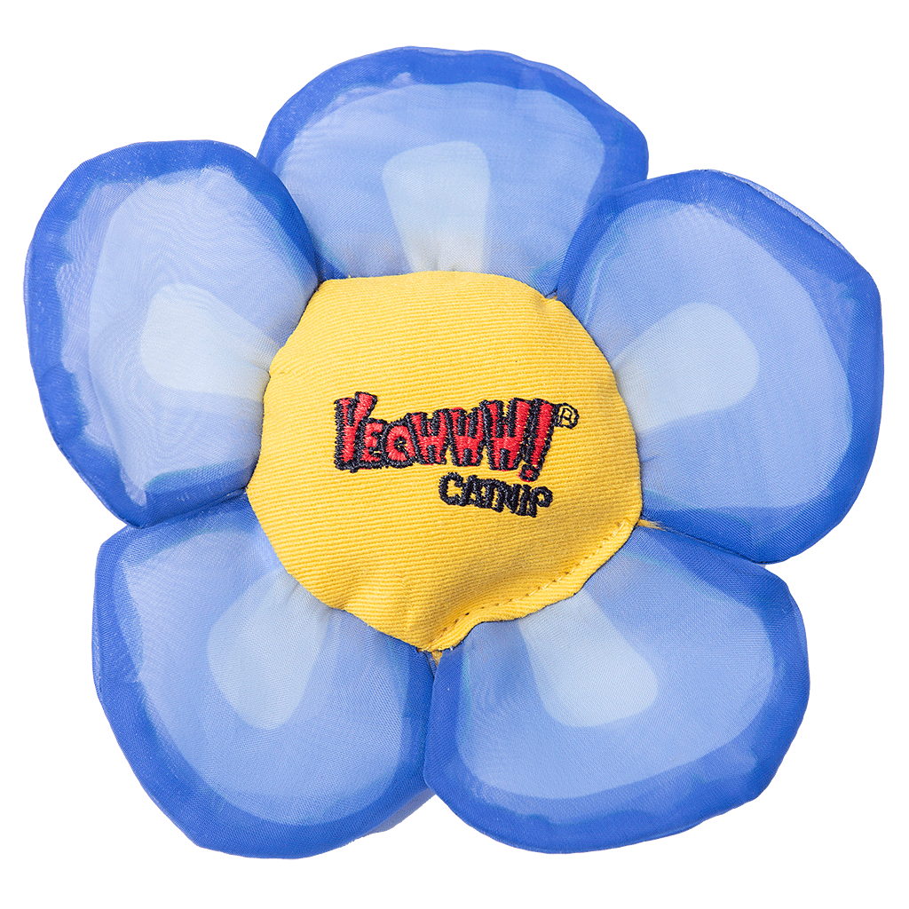 Yeowww! Daisy's Flower Tops
