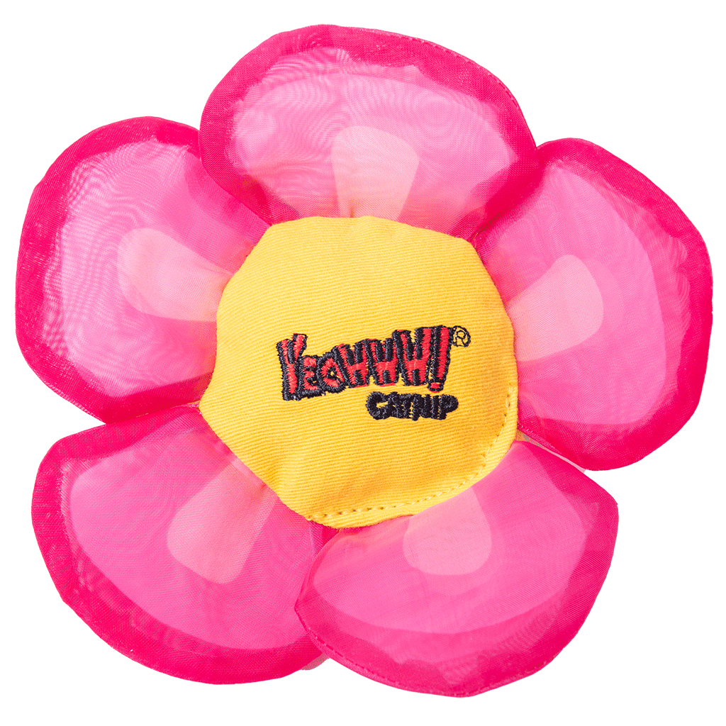 Yeowww! Daisy's Flower Tops