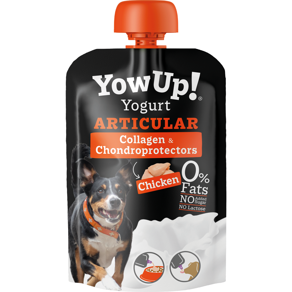 YowUp! Yogurt Dogs