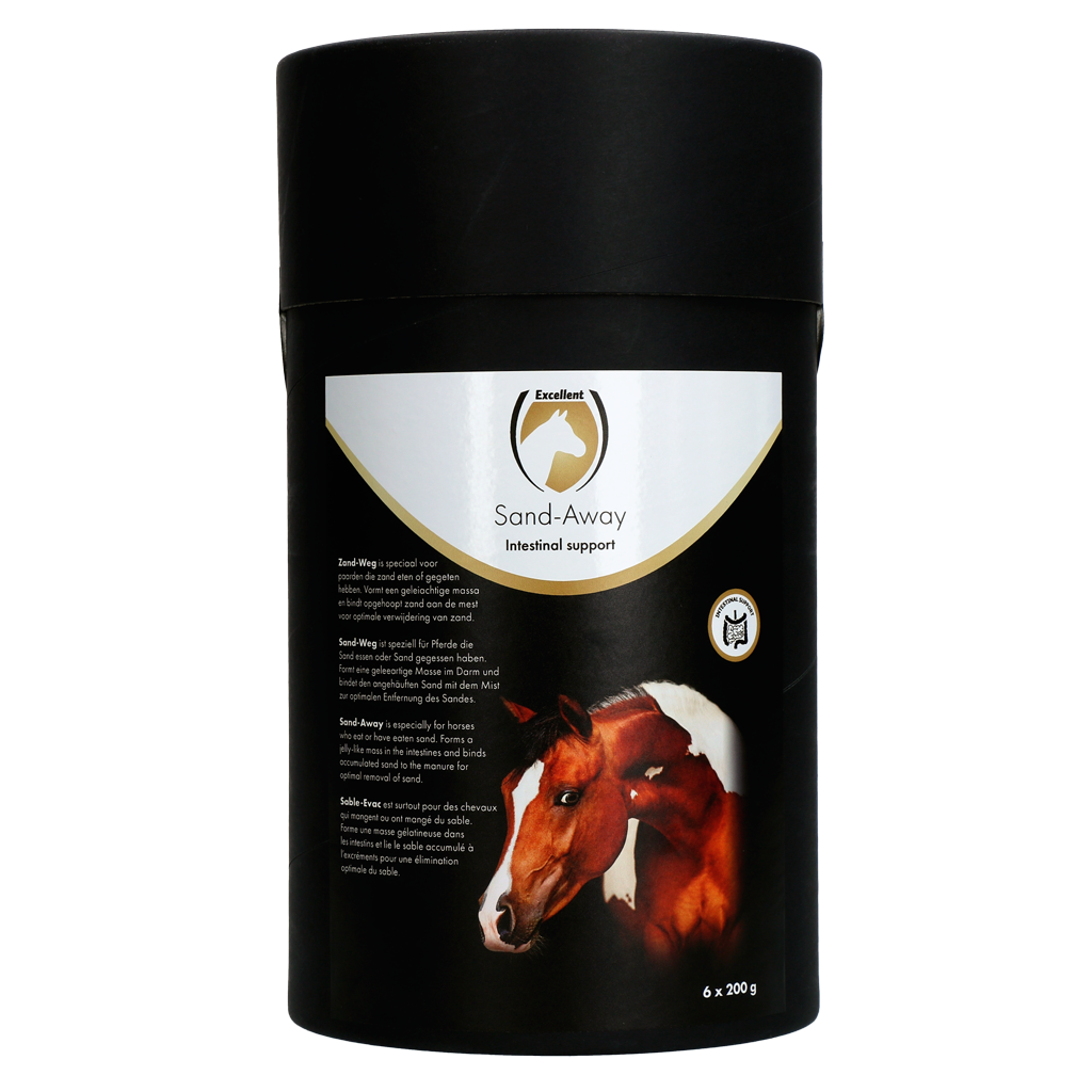 Excellent Horse Sand-Away