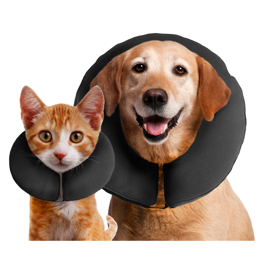 Zenpet ProCollar