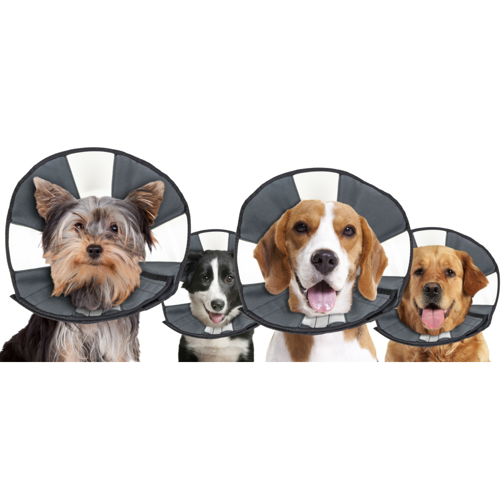 Zenpet Procone