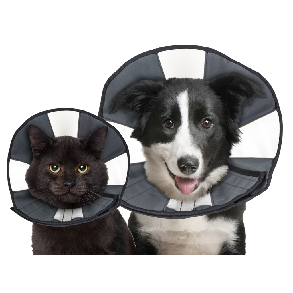 Zenpet Procone